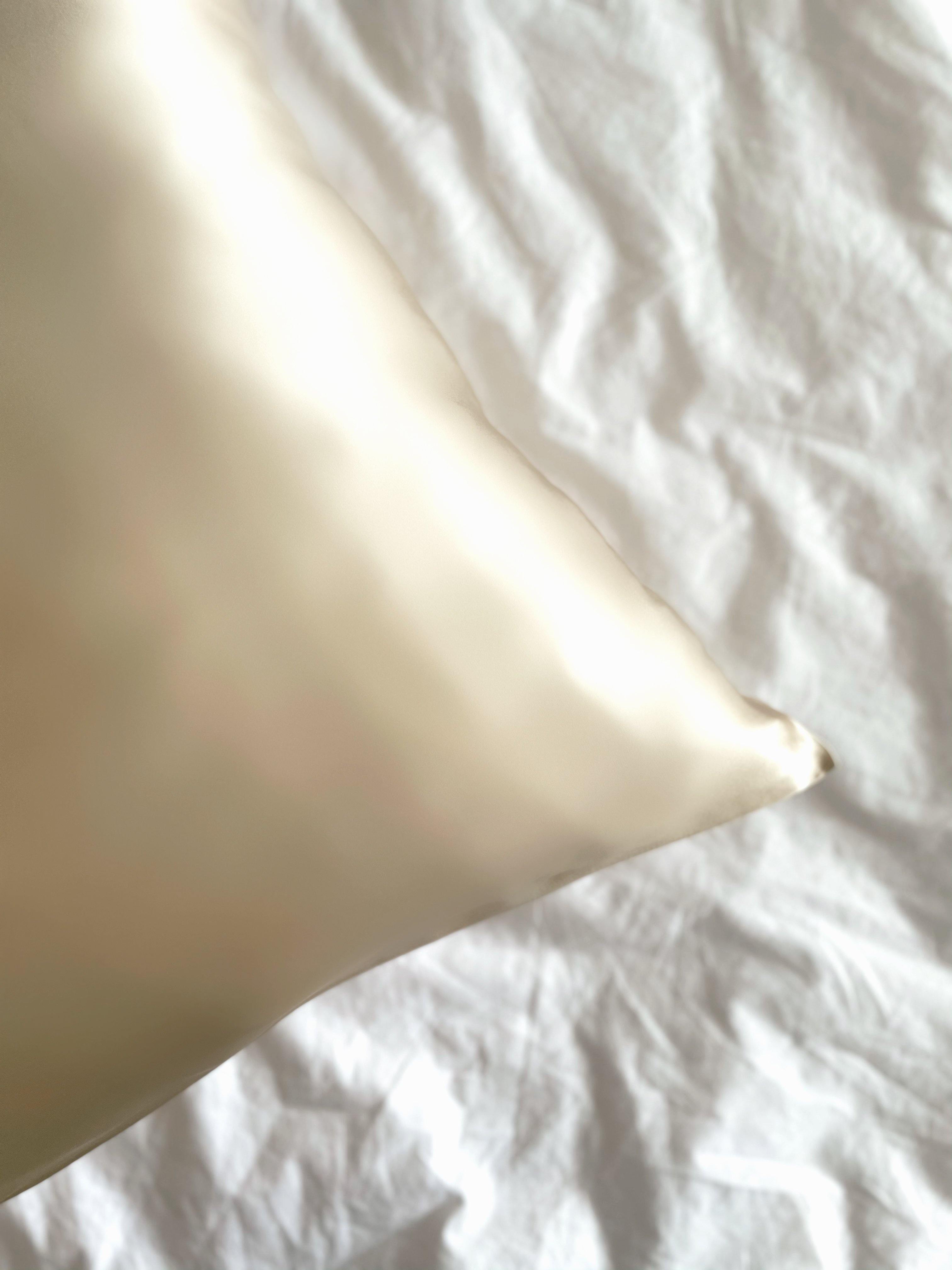 100% Mulberry Silk Pillowcase in Gold - Byeditstudio